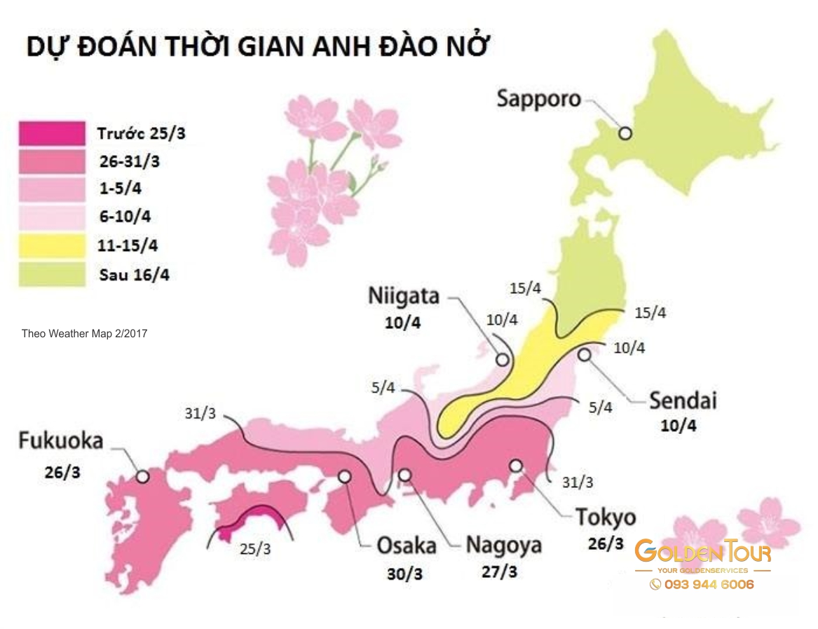 Lịch nở hoa Anh Đào 2017 Lịch nở hoa Anh Đào 2017